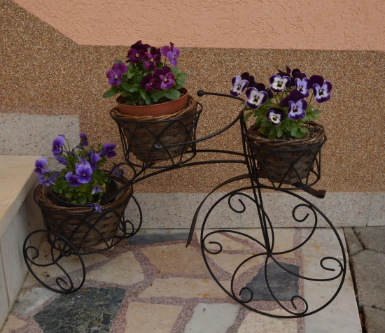 Domek Kvarner - Jurdani (Opatija) KV 7493 N1