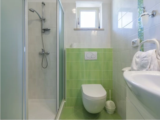 Domek Istrie - Brovinje (Labin) IS 7109 N1