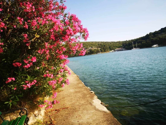 Apartmán Severní Dalmácie - Zaton (Šibenik) DA 8052 N4