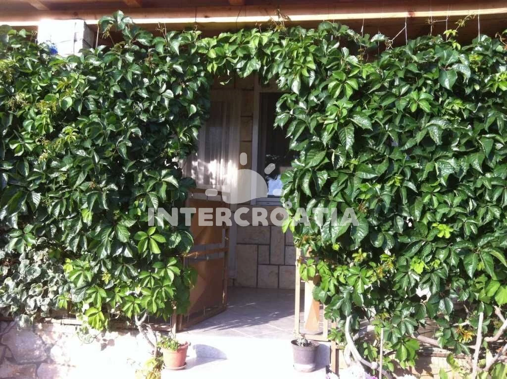 Apartmán Ostrov Vis - Komiža OS 10011 N1