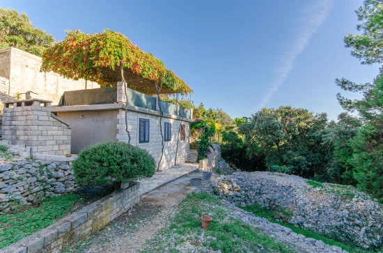 Domek Ostrov Korčula - Korčula OS 10016 N1