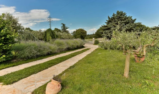 Apartmán Istrie - Žminj IS 7111 N5