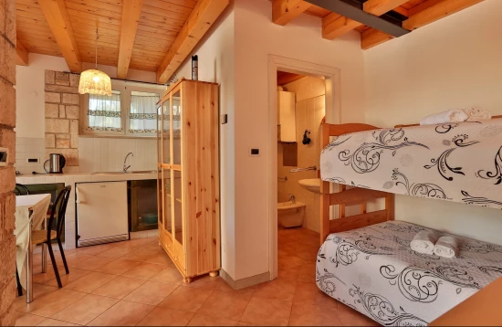 Apartmán Istrie - Žminj IS 7111 N5