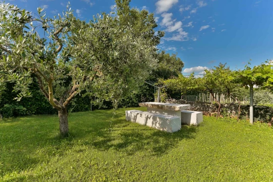 Apartmán Istrie - Žminj IS 7111 N7