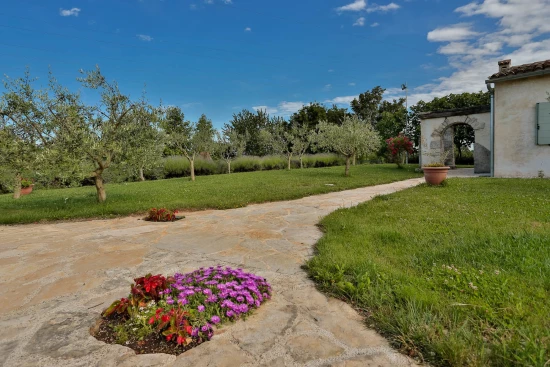 Apartmán Istrie - Žminj IS 7111 N7