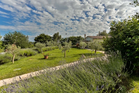 Apartmán Istrie - Žminj IS 7111 N7