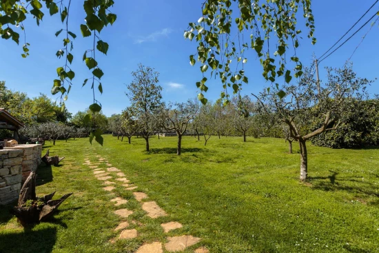 Apartmán Istrie - Žminj IS 7111 N7