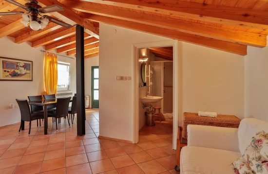 Apartmán Istrie - Žminj IS 7111 N7