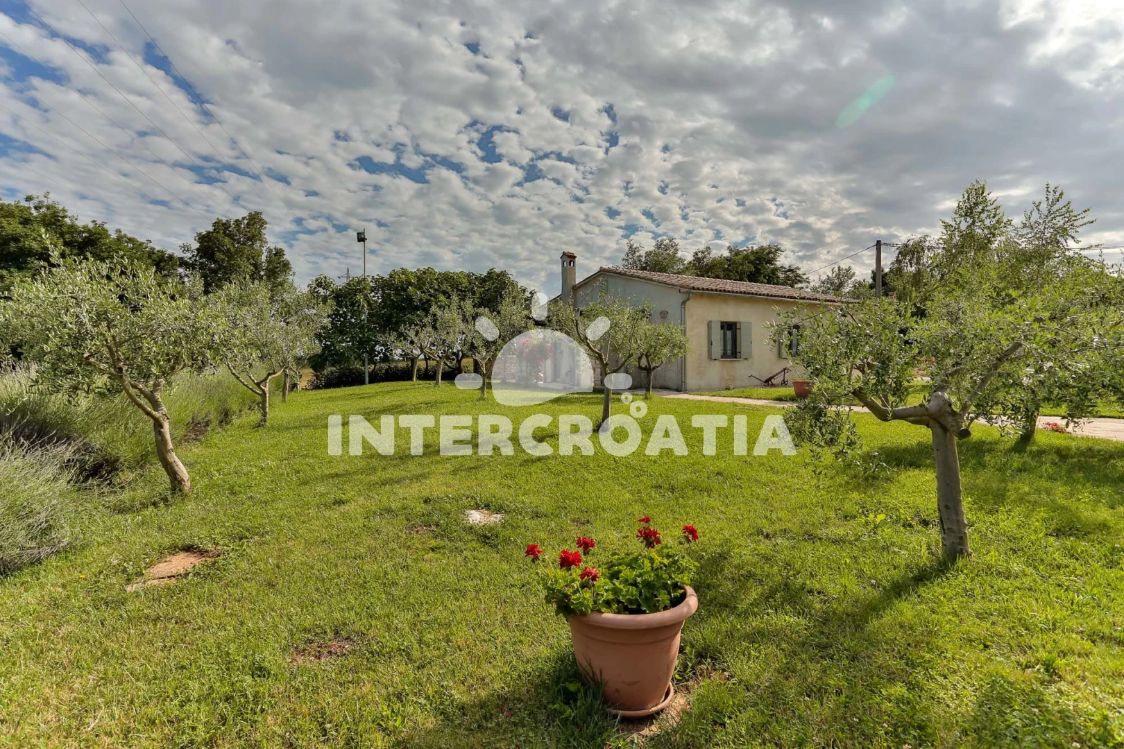 Apartmán Istrie - Žminj IS 7112 N3