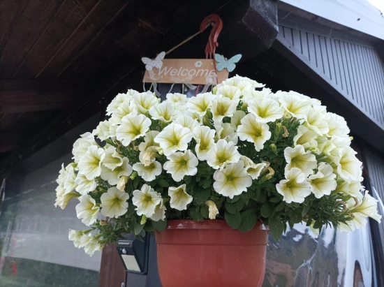 Apartmán Kvarner - Grabovac (Plitvická Jezera) KV 7504 N1