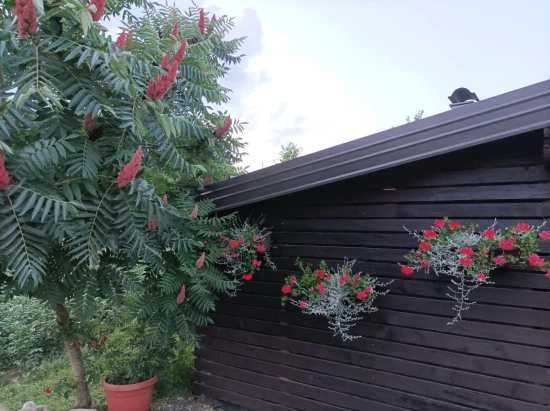 Apartmán Kvarner - Grabovac (Plitvická Jezera) KV 7504 N1