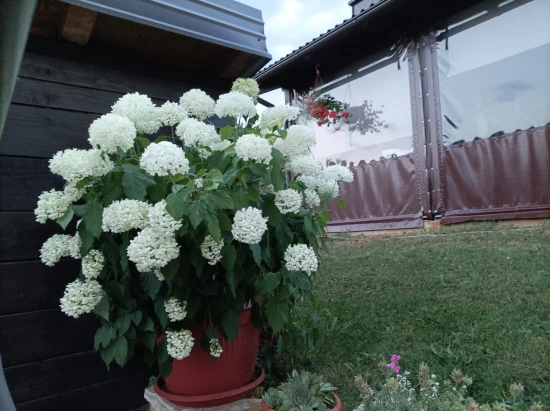 Apartmán Kvarner - Grabovac (Plitvická Jezera) KV 7504 N1