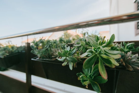 Apartmán Střední Dalmácie - Kaštela DA 8072 N1