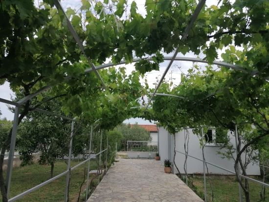 Apartmán Severní Dalmácie - Skradin DA 8081 N1