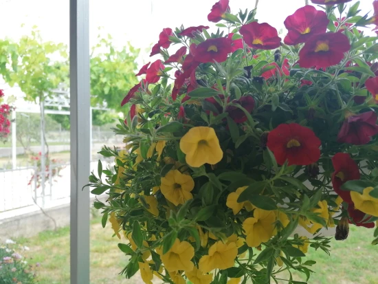 Apartmán Severní Dalmácie - Skradin DA 8081 N1