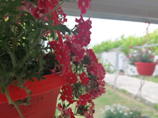 Apartmán Severní Dalmácie - Skradin DA 8081 N1