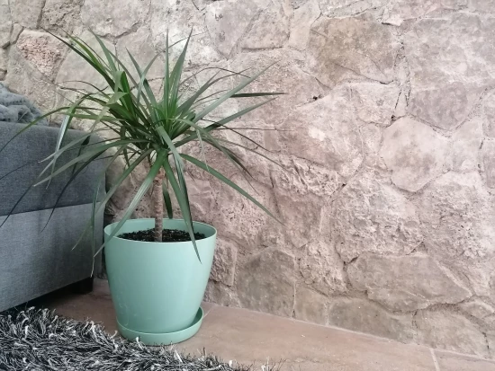 Apartmán Severní Dalmácie - Skradin DA 8081 N1