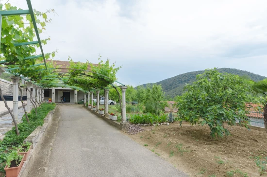 Apartmán Severní Dalmácie - Rupe (Krka) DA 8083 N1