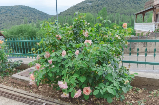 Apartmán Severní Dalmácie - Rupe (Krka) DA 8083 N1