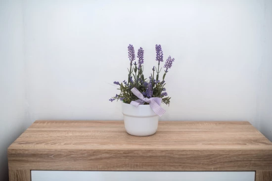 Apartmán Severní Dalmácie - Zaton (Šibenik) DA 8087 N1