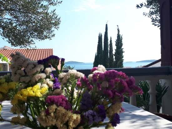 Apartmán Severní Dalmácie - Brodarica DA 8092 N1