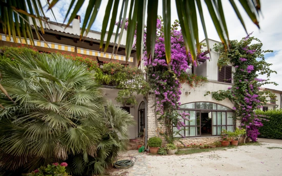 Apartmán Istrie - Rovinj IS 7113 N1