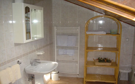 Apartmán Istrie - Rovinj IS 7113 N1