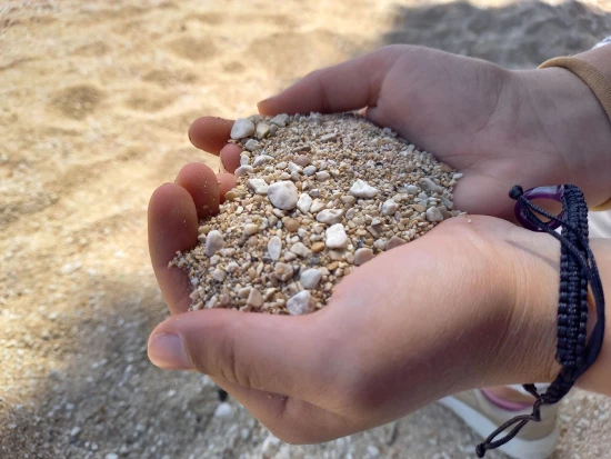 Apartmán Střední Dalmácie - Kaštela DA 8100 N1