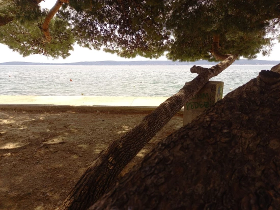 Apartmán Střední Dalmácie - Kaštela DA 8100 N1