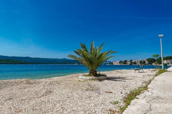 Apartmán Jižní Dalmácie - Klek DA 8111 N1