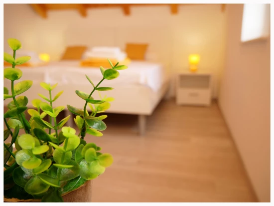 Domek Severní Dalmácie - Primošten DA 8116 N1