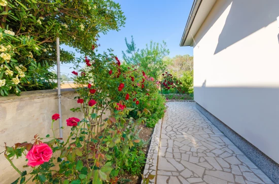 Apartmán Ostrov Rab - Barbat OS 10028 N1