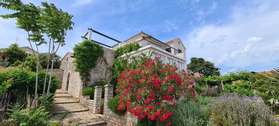 Apartmán Ostrov Hvar - Vrboska OS 10029 N1