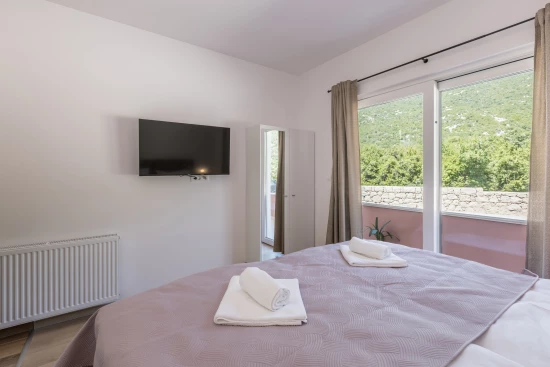 Vila Střední Dalmácie - Kostanje DA 8120 N1