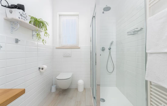 Vila Istrie - Labin (Rabac) IS 7116 N1