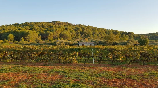 Apartmán Ostrov Vis - Rukavac OS 10038 N1