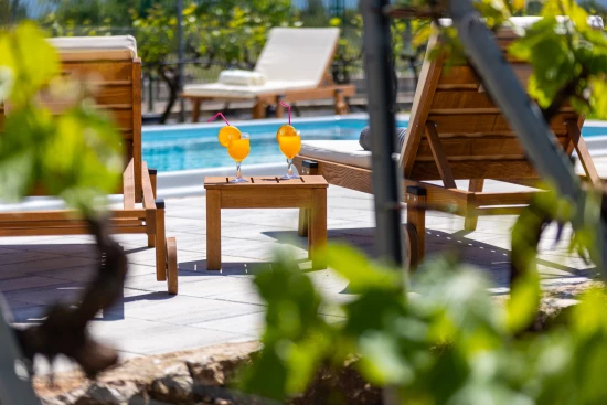 Vila Severní Dalmácie - Drniš (Šibenik) DA 8133 N1