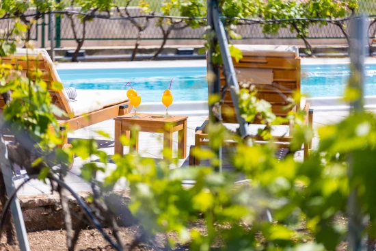 Vila Severní Dalmácie - Drniš (Šibenik) DA 8133 N1