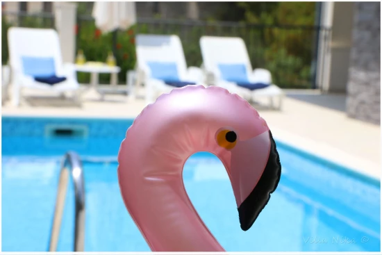 Apartmán Severní Dalmácie - Primošten DA 8137 N1