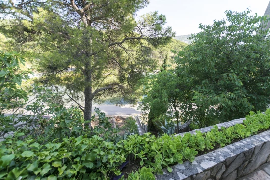 Apartmán Severní Dalmácie - Primošten DA 8138 N1