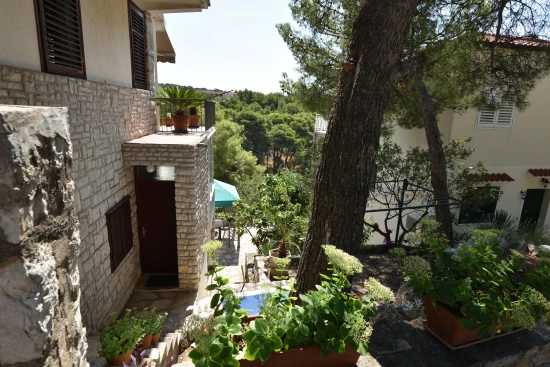 Apartmán Severní Dalmácie - Primošten DA 8138 N1