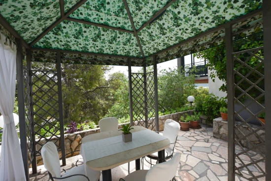 Apartmán Severní Dalmácie - Primošten DA 8138 N1