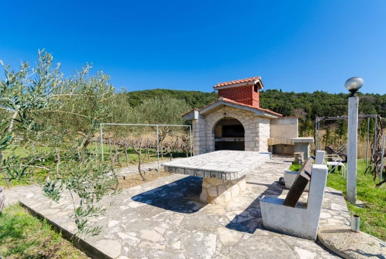 Apartmán Ostrov Rab - Kampor OS 10041 N1