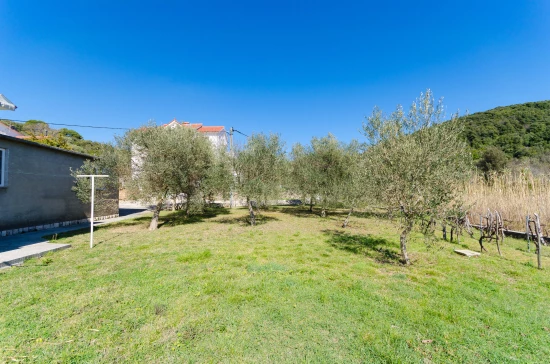 Apartmán Ostrov Rab - Kampor OS 10041 N1