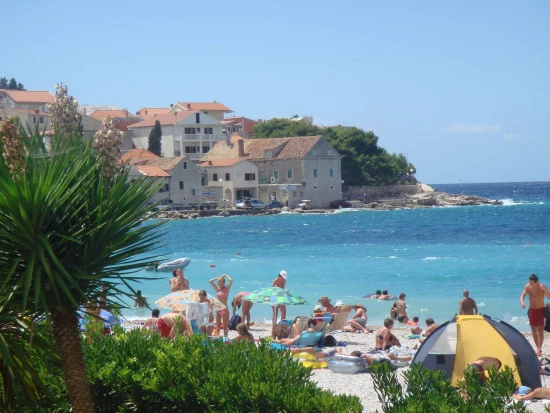 Apartmán Severní Dalmácie - Primošten DA 8152 N2