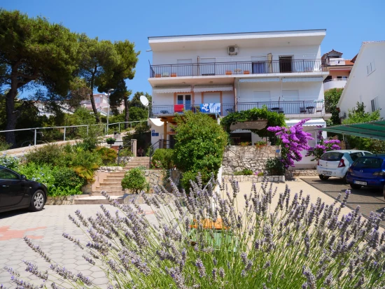 Apartmán Severní Dalmácie - Bilo (Primošten) DA 8153 N1