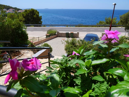 Apartmán Severní Dalmácie - Bilo (Primošten) DA 8153 N1