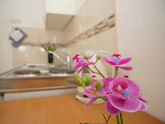 Apartmán Severní Dalmácie - Bilo (Primošten) DA 8153 N1