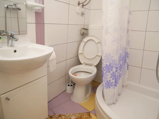 Apartmán Severní Dalmácie - Bilo (Primošten) DA 8153 N1