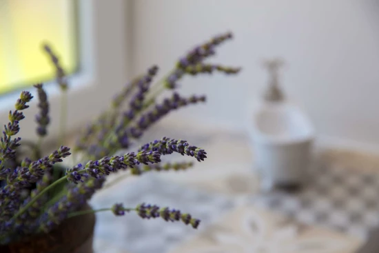 Domek Kvarner - Novi Vinodolski KV 7541 N1